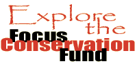 Explore the FCF