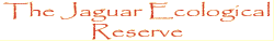 Explore the FCF